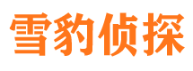 兴海寻人公司